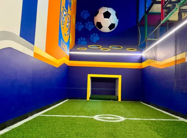 Cancha temática